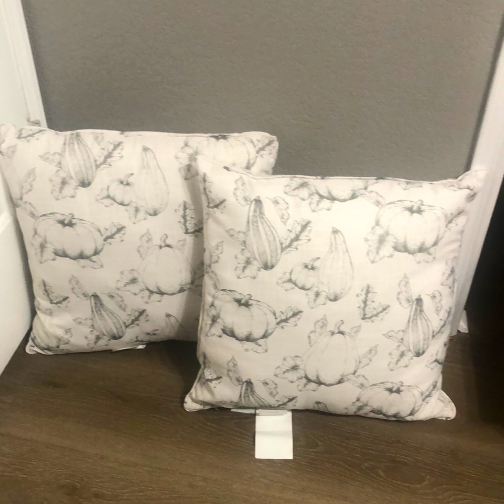 2 SET Pillow